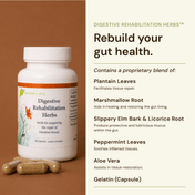 Digestive Rehabilitation Herbs
